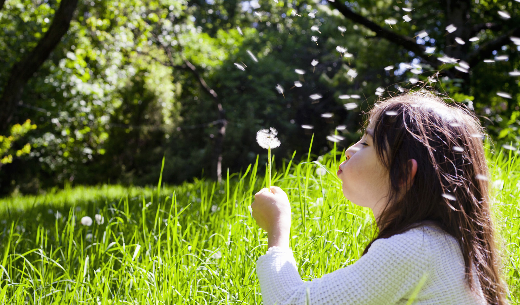 Little girl blowing dandelions in an open green area with trees in the background.